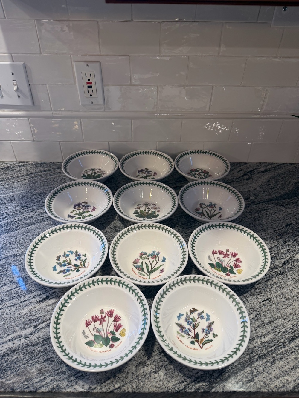 Set of 11 Portmeirion Botanic Garden 6.5" Soup Cereal Bowls